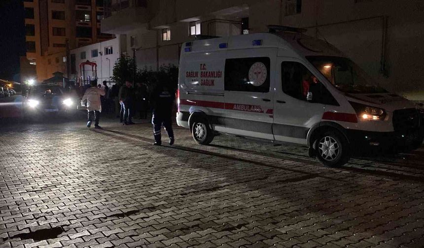 Elazığ'da koca, 4 yaşındaki çocuğunun gözü önünde eşini katletti