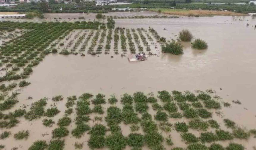 Tarım arazilerinin sular altında kalmasının boyutları gün yüzüne çıktı