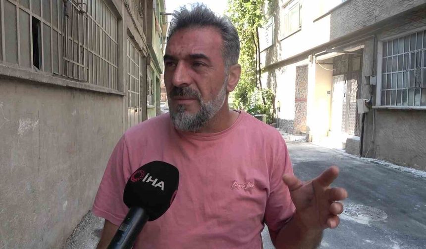 Bursa'da apartmanda hayvanlara kötü muamele: Mahalleyi pireler sardı