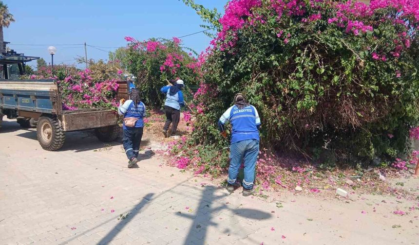 Didim Belediyesi yeşil alanlarda budama ve ot biçme işlemlerine devam ediyor