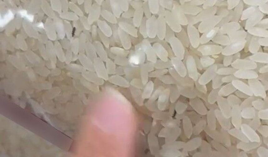 Elazığ'daki markette paketli pirinçte böcek skandalı
