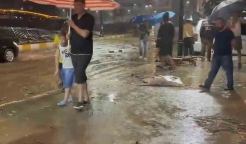 Giresun'da Şiddetli Yağışlar Dereleri Taşırdı