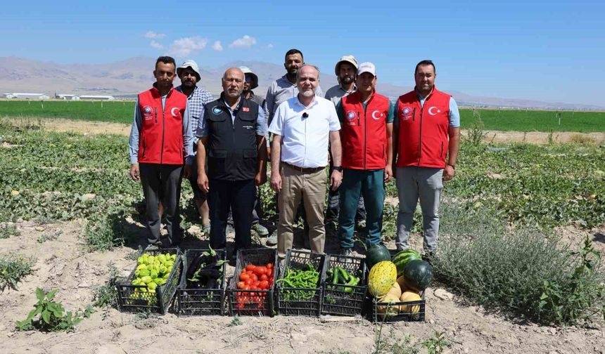 NÖHÜ Tarımsal Araştırma Merkezi'nde 51 bin fide hasat edildi