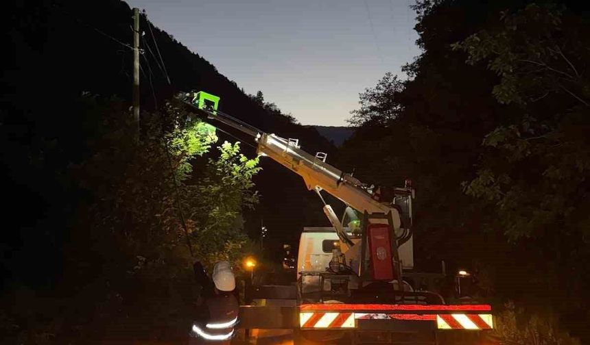 Çoruh EDAŞ, Rize ve Trabzon'daki Yağışların Ardından 120 Personelle Hızla Müdahale Etti