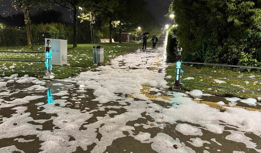 İzmit'teki Sahil Köpüğünde Tehlikeli Maddelere Rastlanmadı