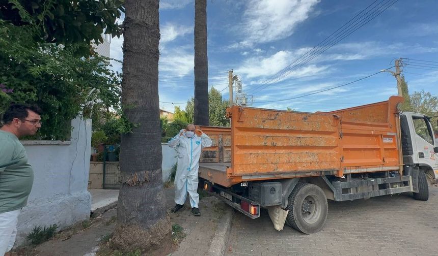 Marmaris'te Çöp Ev Skandalı: Bir Kamyon Çöp ve 30 Kedi Ortaya Çıktı