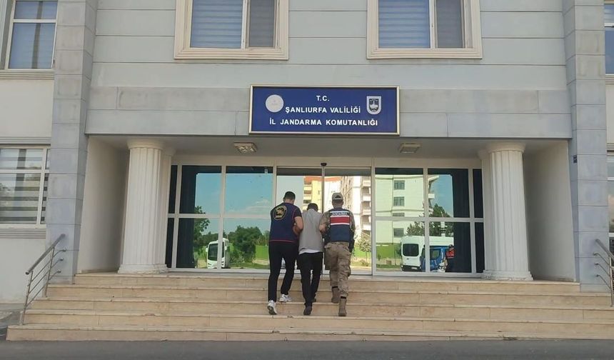 Şanlıurfa'da İstanbul'daki büyük dolandırıcılık zanlısı yakalandı