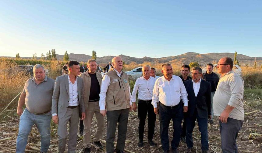 TZOB Genel Başkanı Şemsi Bayraktar, Akin'de Ay Çekirdeği Hasadına Katıldı