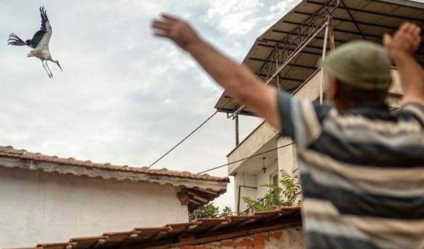 Yaren Leylek ve Nazlı'nın Duygusal Göç Yolculuğu
