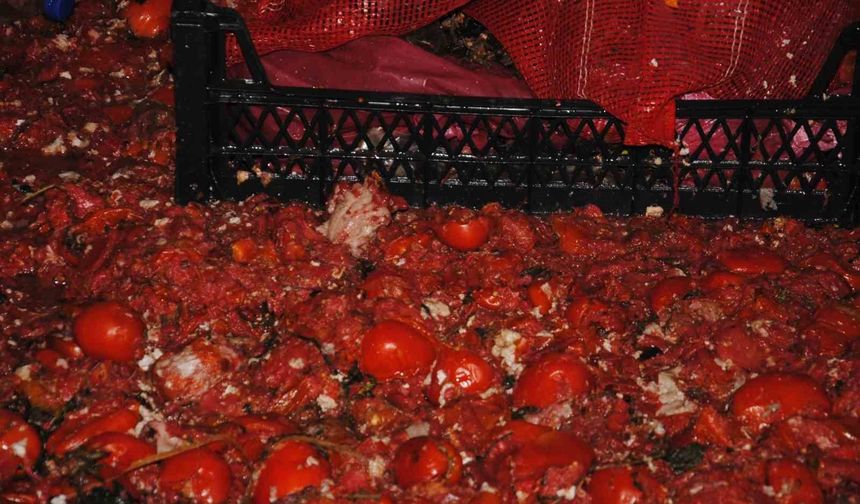 Şanlıurfa'da Zabıta Denetiminde Çürük Domates ve Küflü Salça Bulundu