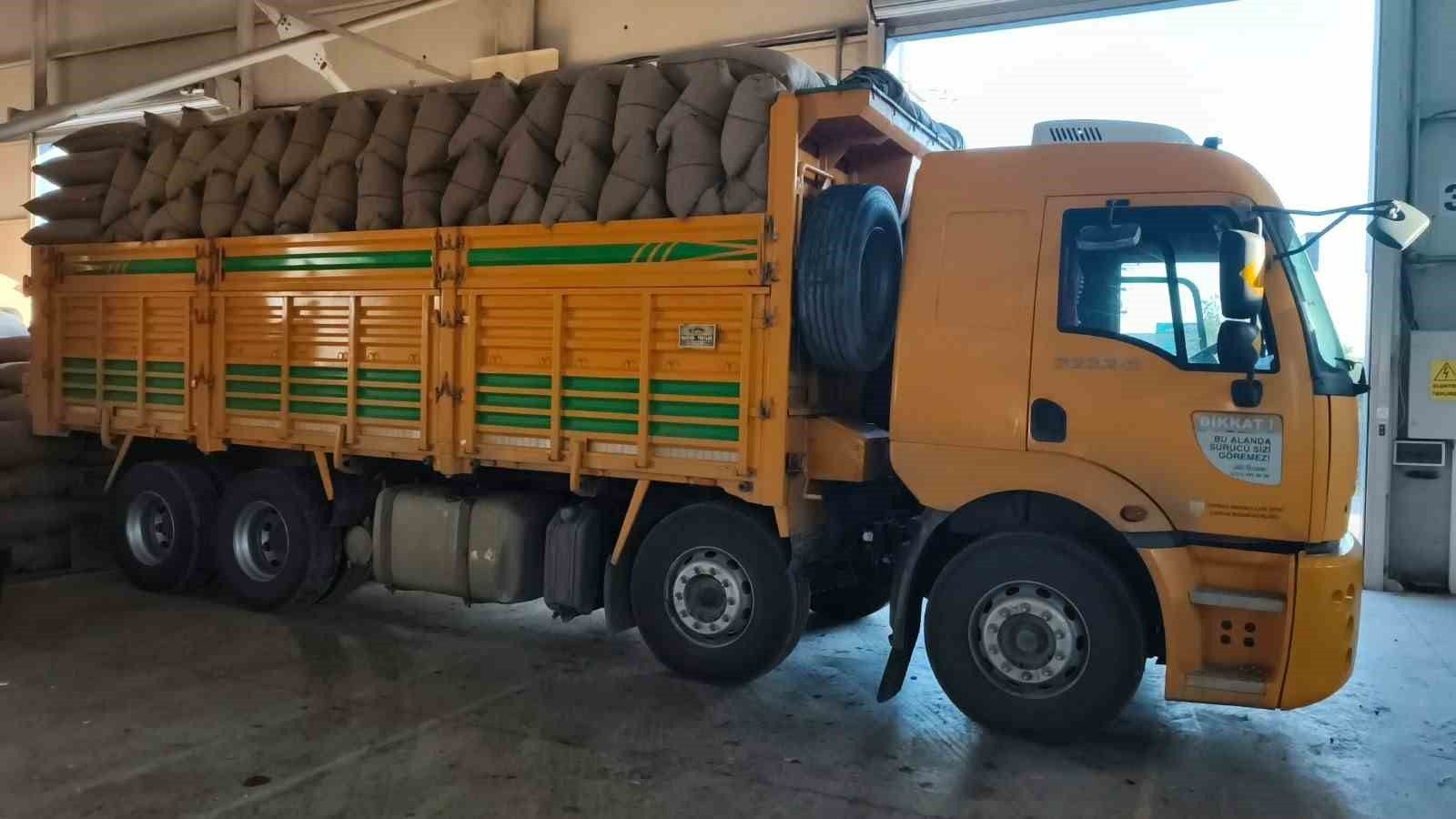 Kastamonu İnebolu'da TMO 100 ton fındık alımı gerçekleştirdi