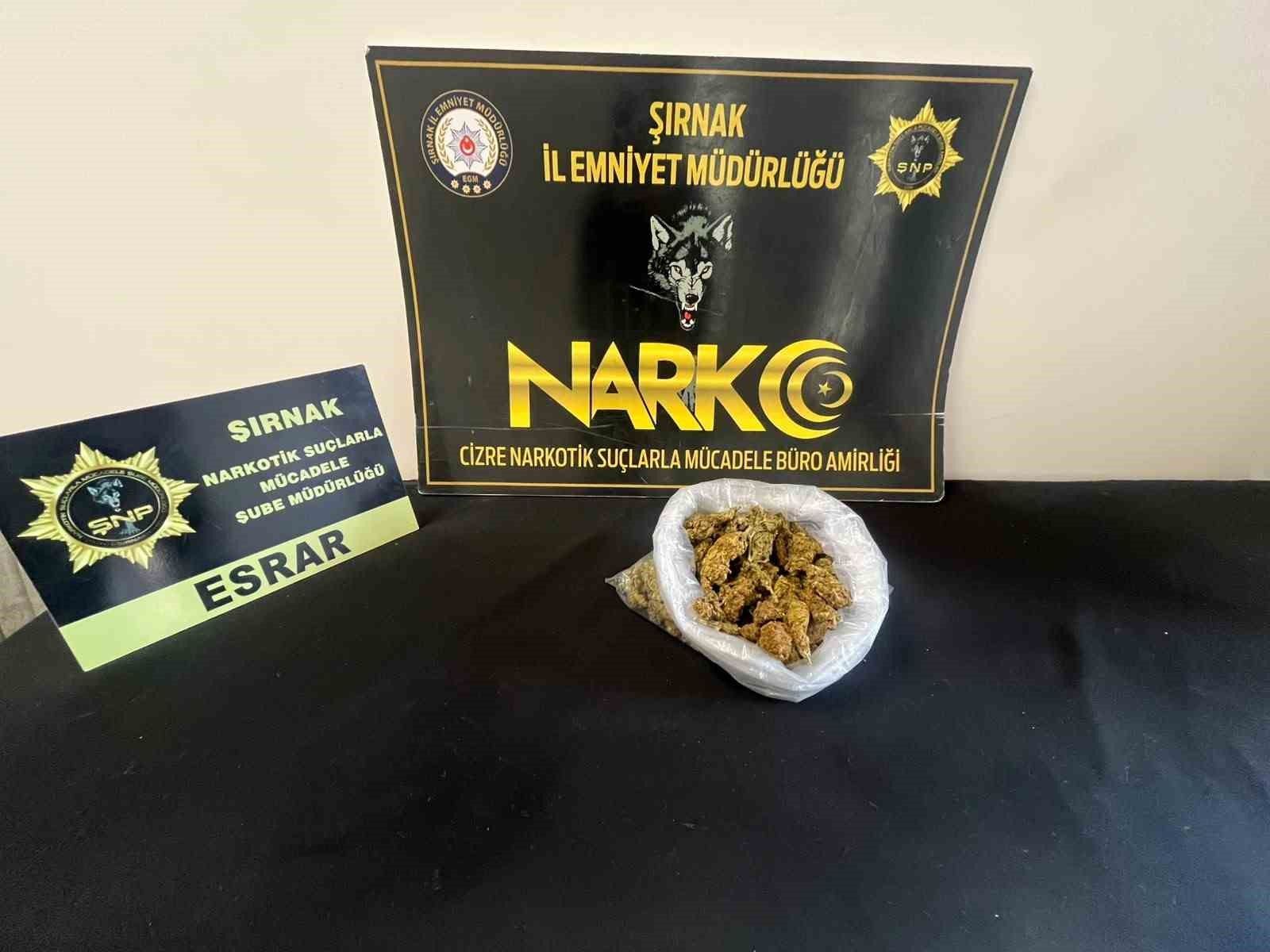 Şırnak'ta asayiş ve narkotik operasyonlarında 104 şüpheli yakalandı