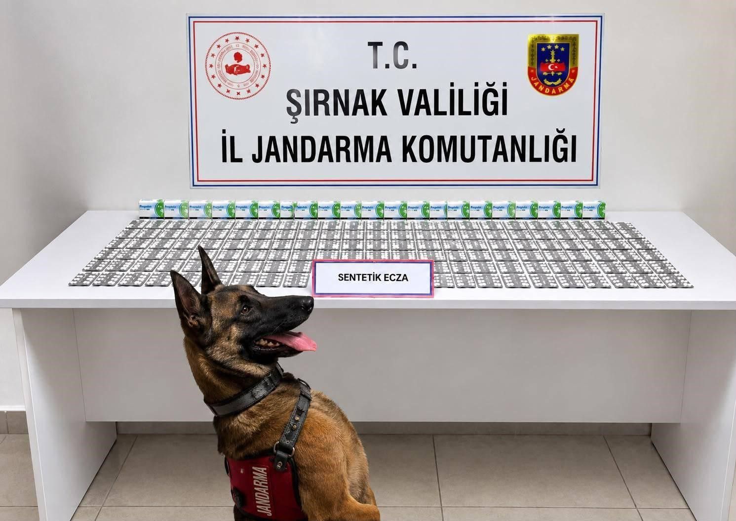 Şırnak'ta jandarma uyuşturucu operasyonu: 12 kişi tutuklandı