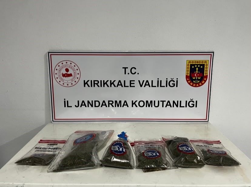 Uyuşturucu Tespiti: Narkotik Köpeği 'Evin' Bahçede Kenevir ve Esrar Buldu