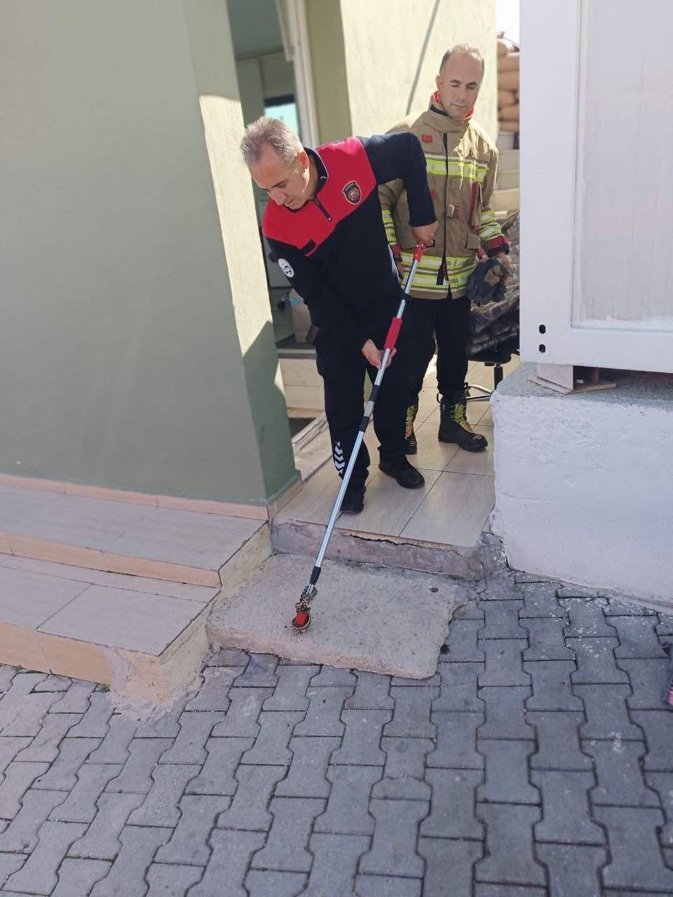Yayladağı'nda evde görülen yılan, itfaiye tarafından doğaya salındı